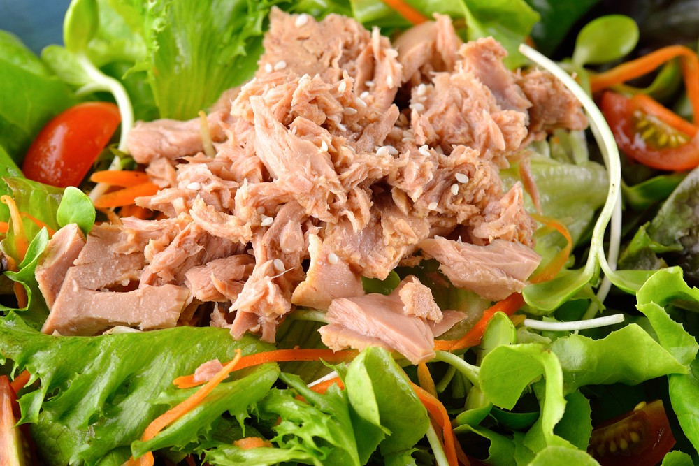 Diabetic Salads Recipe
 Tangy Tuna Salad Recipe For Diabetics Diabetes Self
