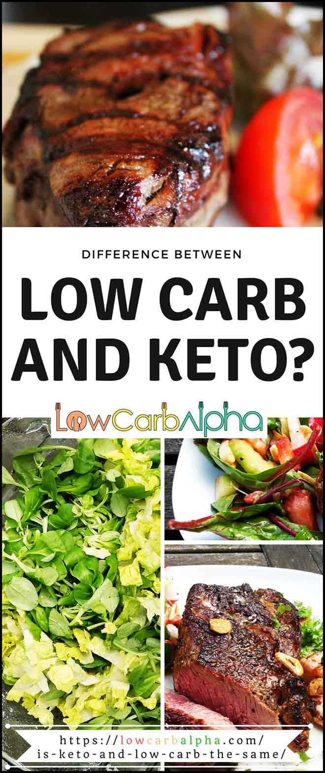 Difference Between Keto Diet And Atkins
 Difference Between Low Carb Diet And Ketogenic Diet