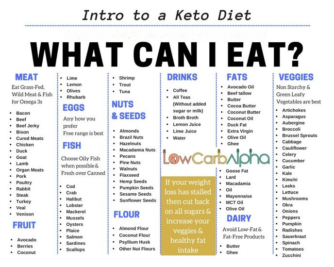 Does Keto Diet Raise Cholesterol
 Introduction to Ketogenic Diet – A Simple Intro to Ketosis