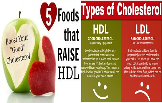 Does Keto Diet Raise Cholesterol
 5 Foods To Increase Your Good Cholesterol – Health 11