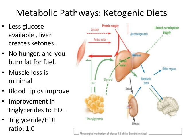 Does Keto Diet Raise Cholesterol
 The tao of ketosis – trentholbert
