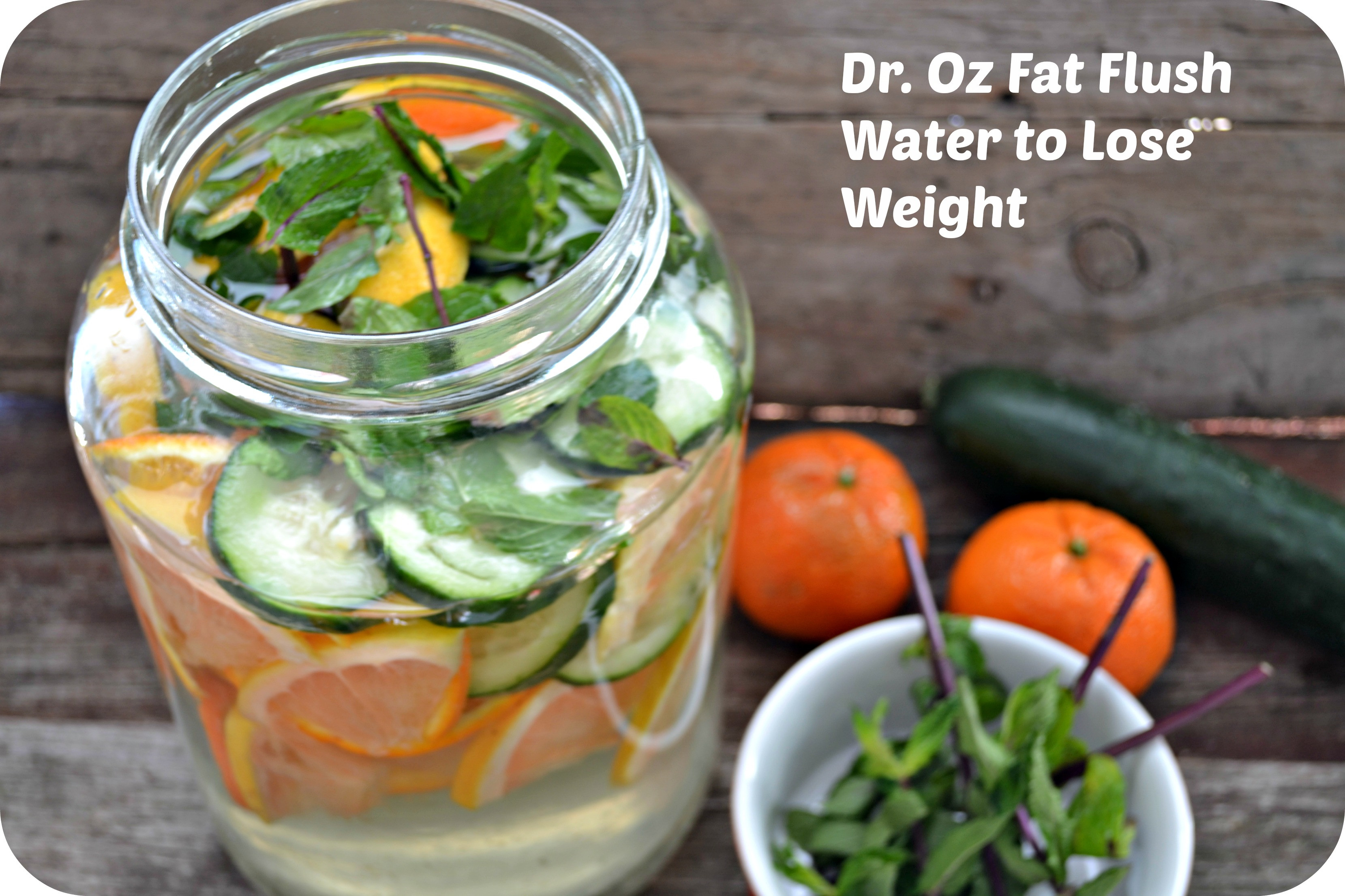 Dr Oz Recipes For Weight Loss
 Dr Oz Fat Flush Drink to Lose Weight Flush Your System