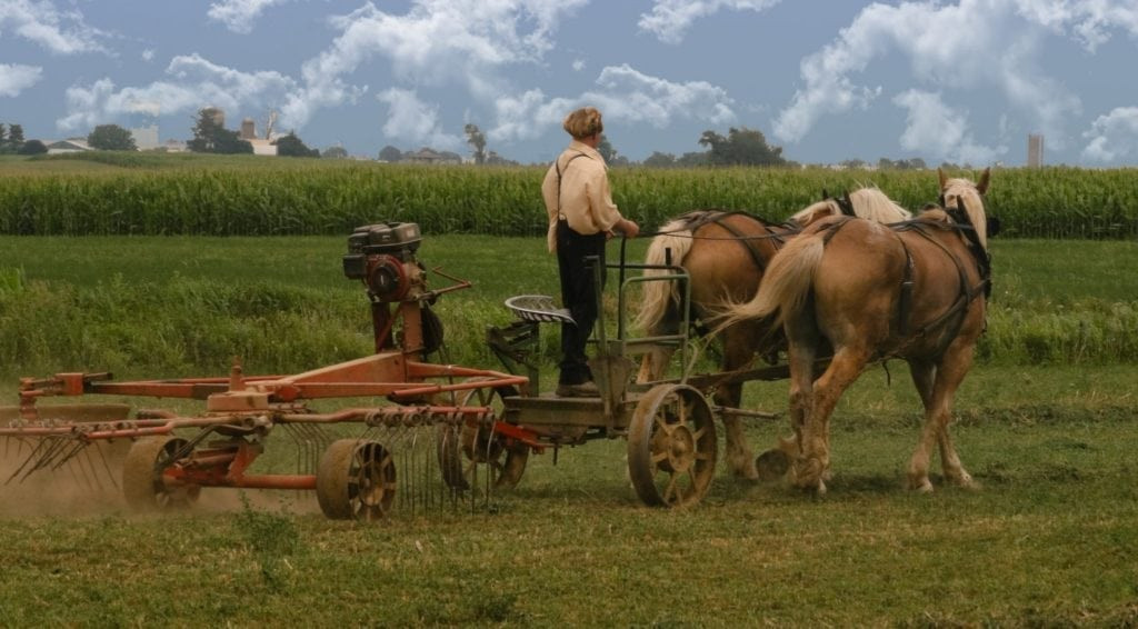 Easter Dinner Lancaster Pa
 Insider s Guide to Lancaster s Amish Country Amish Farm