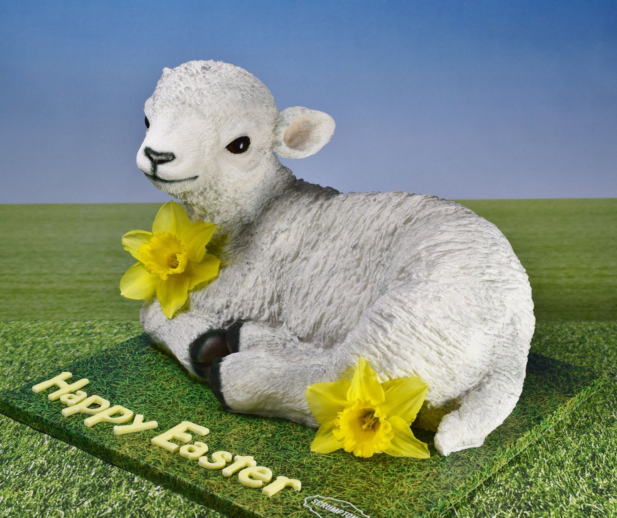 Easter Lamb Pictures
 easter lamb cake