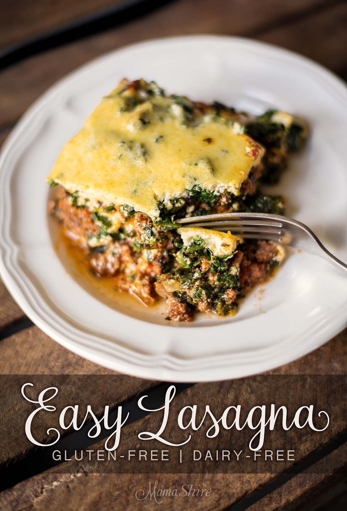 Easy Gluten And Dairy Free Recipes
 Easy Lasagna Gluten Free & Dairy Free MamaShireMamaShire