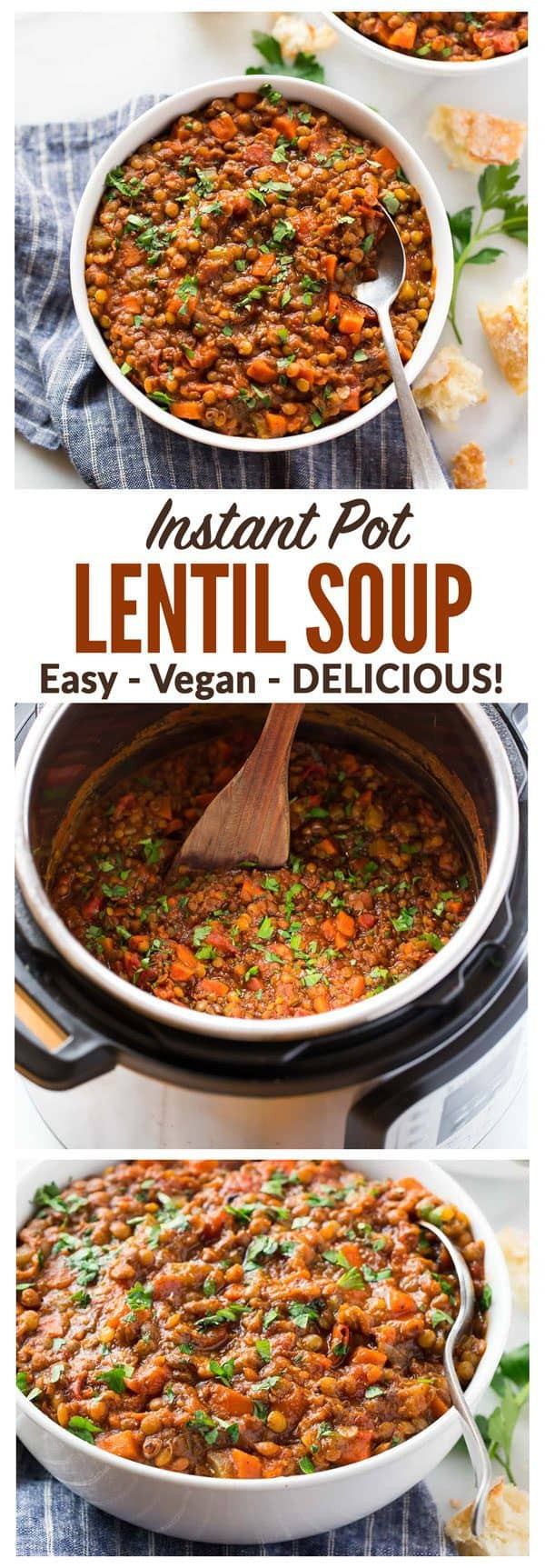Easy Instant Pot Recipes Vegetarian
 Instant Pot Lentil Soup