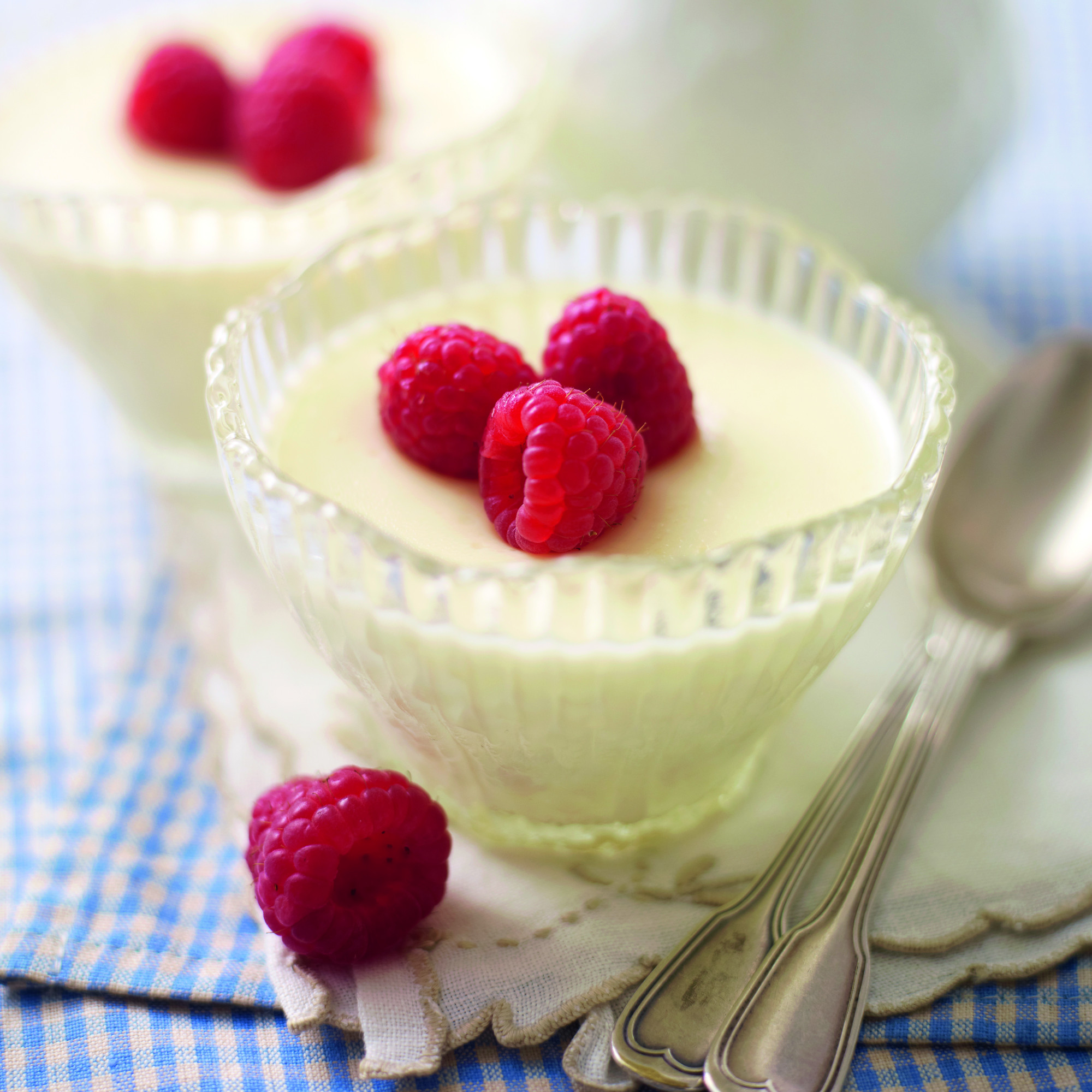 Easy Low Calorie Desserts
 Low Fat Lemon Posset