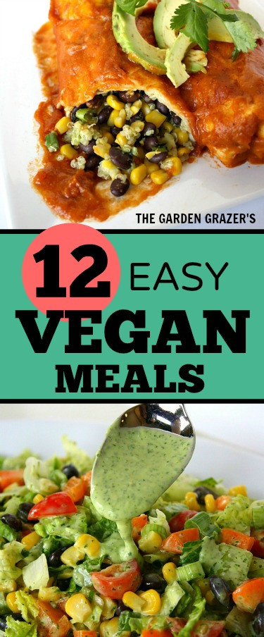 Easy Vegan Recipes
 The Garden Grazer 12 Easy Satisfying Vegan Meals
