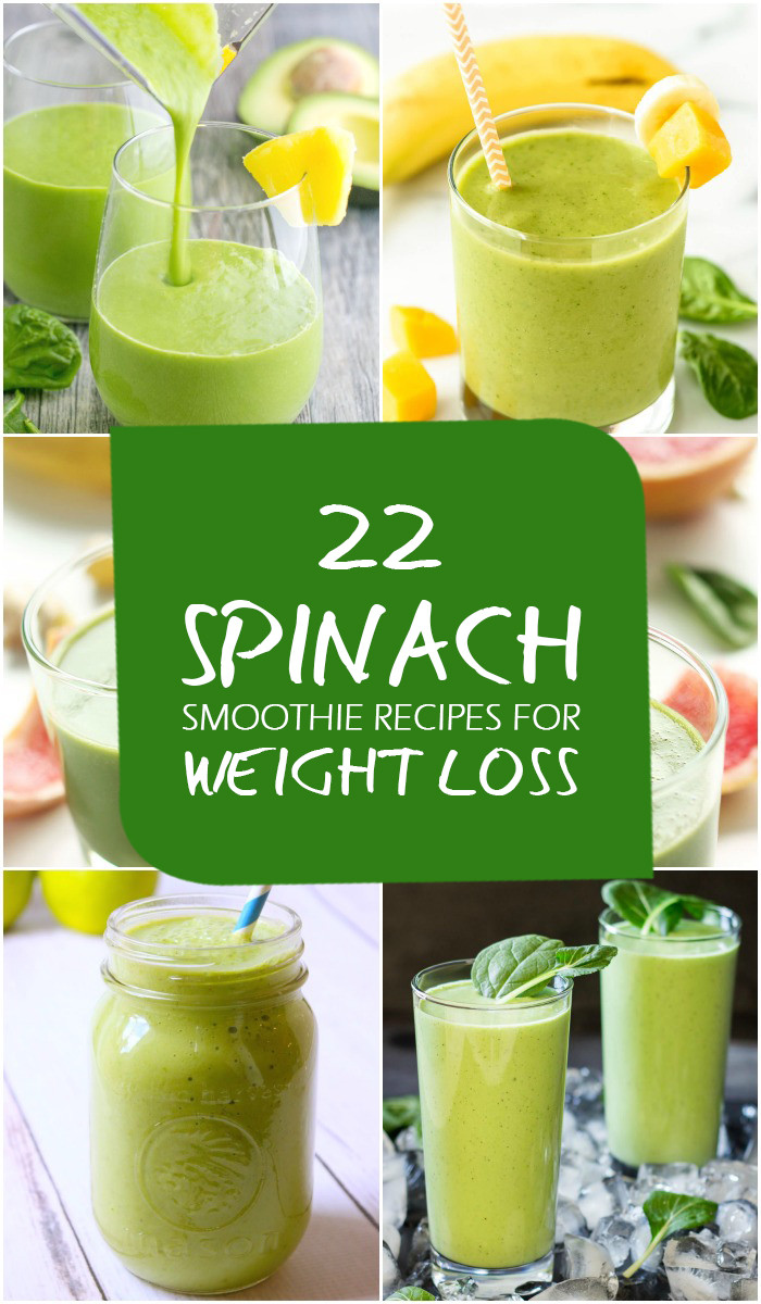 Easy Weight Loss Smoothies
 22 Best Spinach Smoothie Recipes for Weight Loss