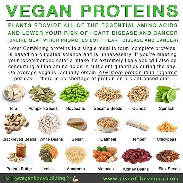 Foods With Protein For Vegetarian
 Vegans often hear "but where do you your protein