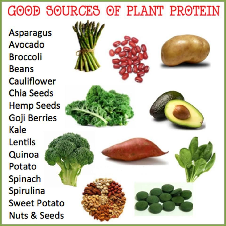 Foods With Protein For Vegetarian
 Protein Foods for Ve arians Protein Foods It is