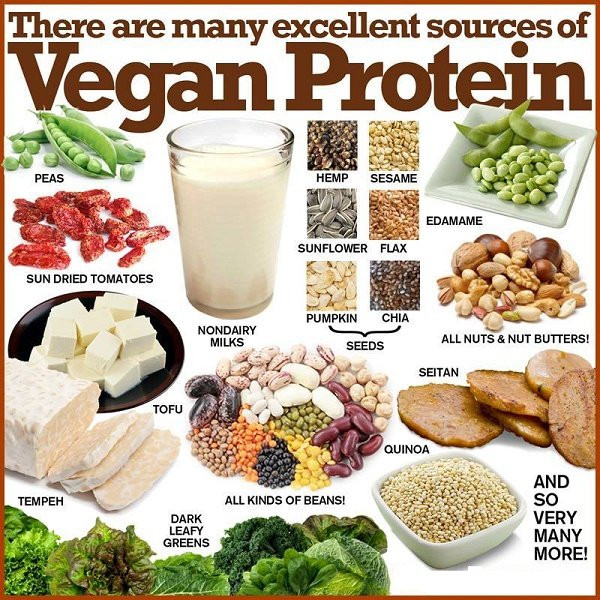 Foods With Protein For Vegetarian
 Vegan Protein Foods You Should Be Eating More ten Fitneass