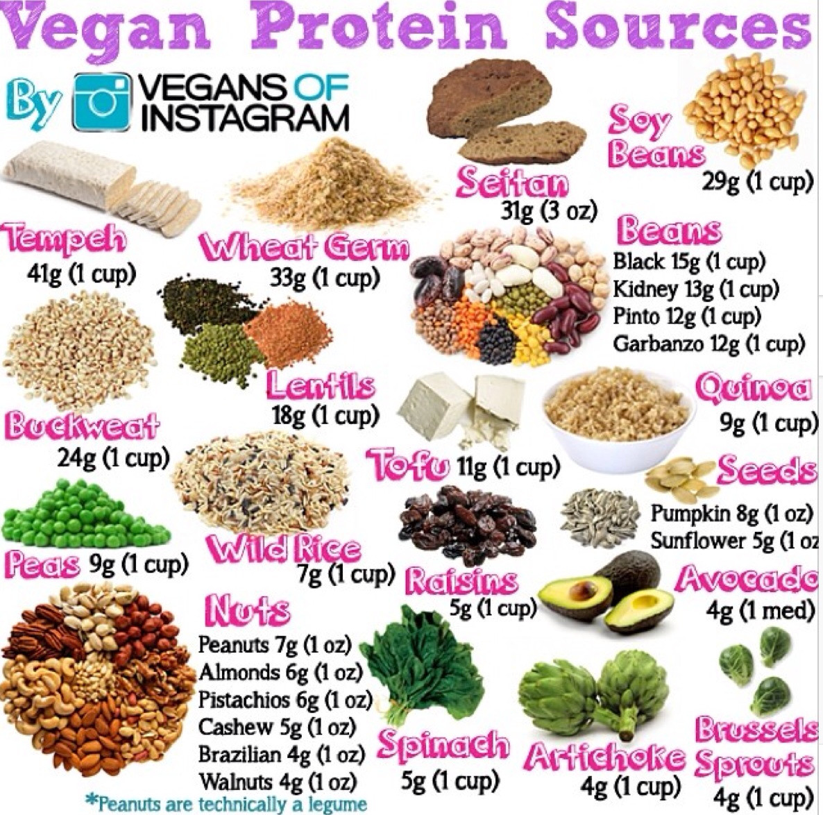 Foods With Protein For Vegetarian
 Protein sources in vegan and ve arian t