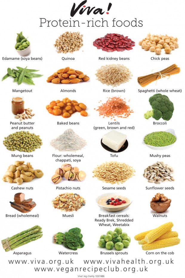 Foods With Protein For Vegetarian
 VEGAN PROTEIN RICH FOODS — Forking Fit