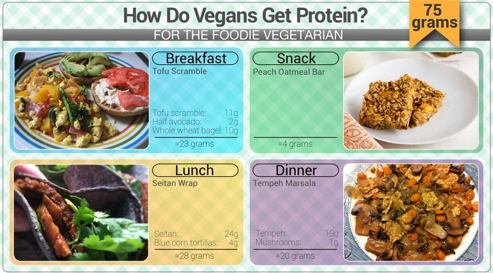 Foods With Protein For Vegetarian
 How Do Vegans Get Protein a visual guide