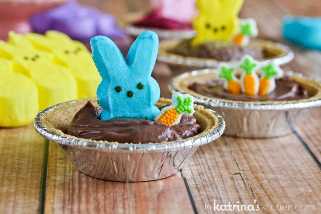 Fun Easy Easter Desserts
 Peeps Pudding S mores Pies Recipe
