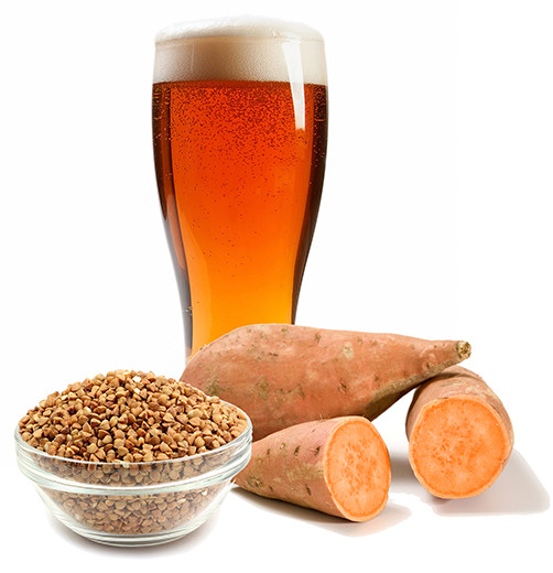 Gluten Free Beer Recipes
 Gluten Free Beer Recipe An Experiment With Sweet Potatoes