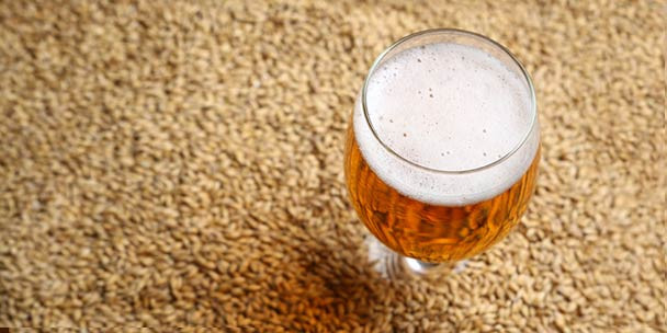 Gluten Free Beer Recipes
 RECIPE Gluten Free Pale Ale Extract with Grains