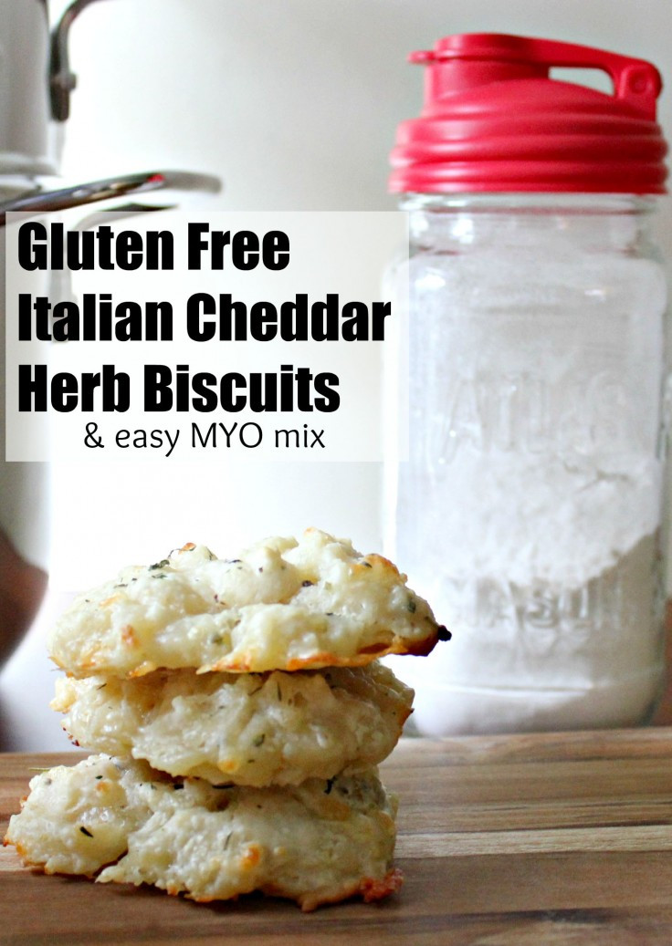 Gluten Free Biscuit Mix
 Italian Polenta Bites Recipe & Gluten Free Italian Cheddar