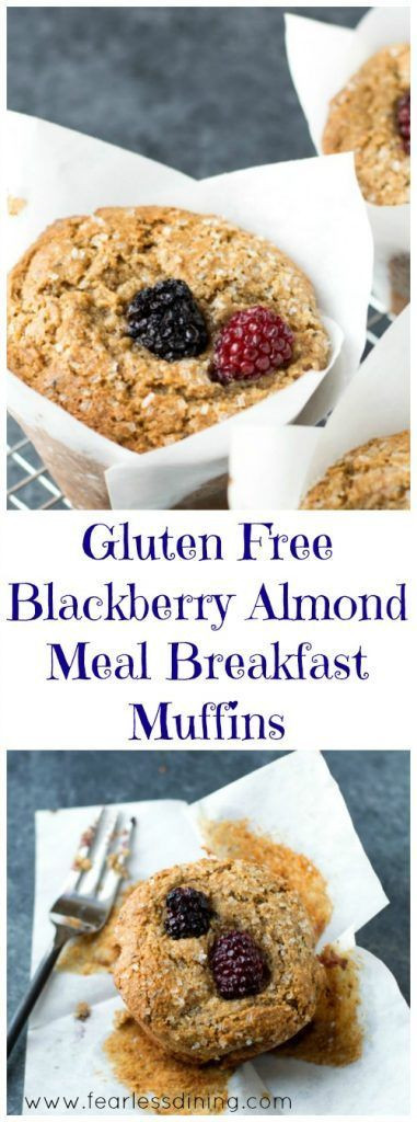 Gluten Free Blackberry Recipes
 Gluten Free Blackberry Almond Flour Breakfast Muffins