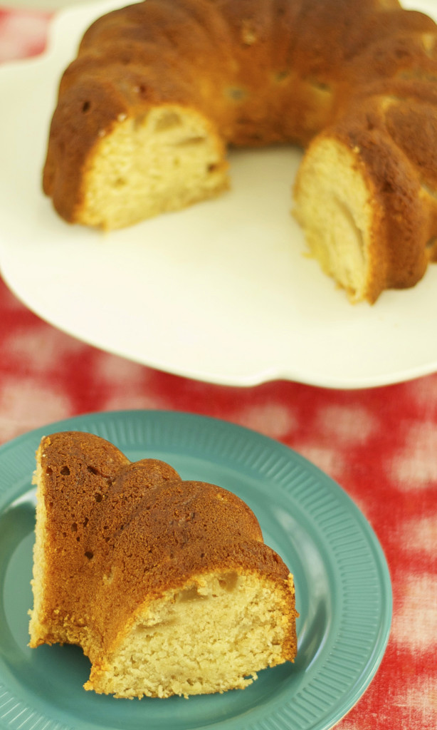 Gluten Free Bundt Cake Recipes
 Gluten Free Dairy Free Apple Bundt Cake