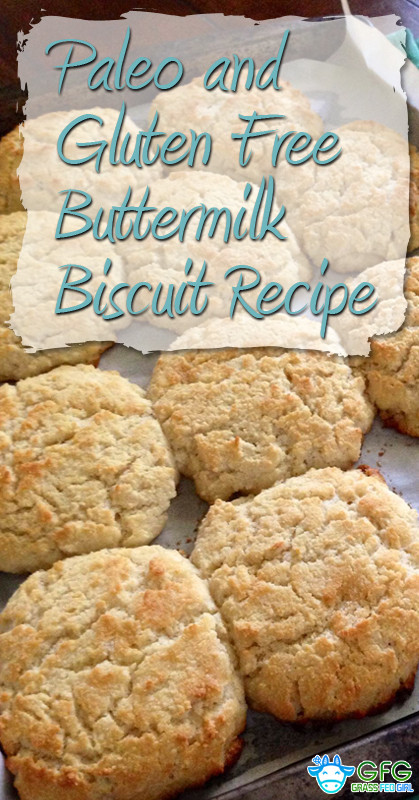 Gluten Free Buttermilk Recipes
 Paleo and Gluten Free Buttermilk Biscuit Recipe