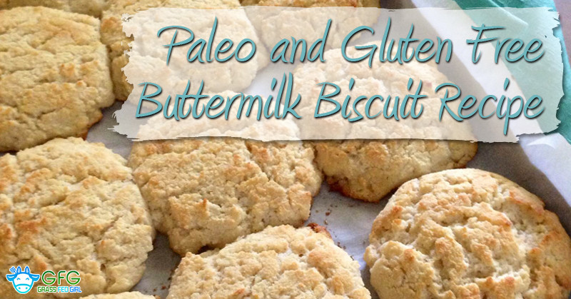 Gluten Free Buttermilk Recipes
 Paleo and Gluten Free Buttermilk Biscuit Recipe