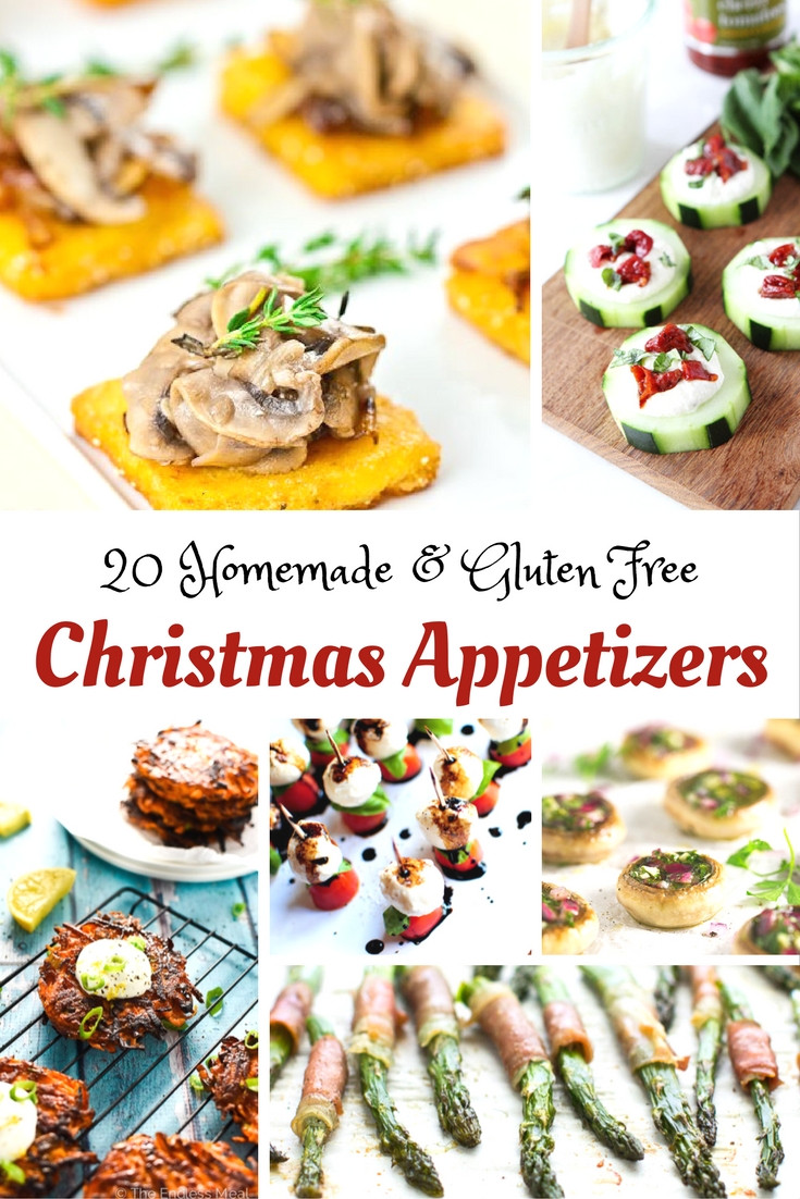 Gluten Free Dairy Free Appetizers
 Here are a Few Gluten Free Christmas Appetizer Ideas to