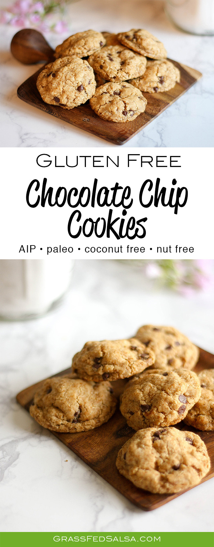 Gluten Free Dairy Free Chocolate Chip Cookies
 The Best Gluten Free Chocolate Chip Cookies AIP Paleo