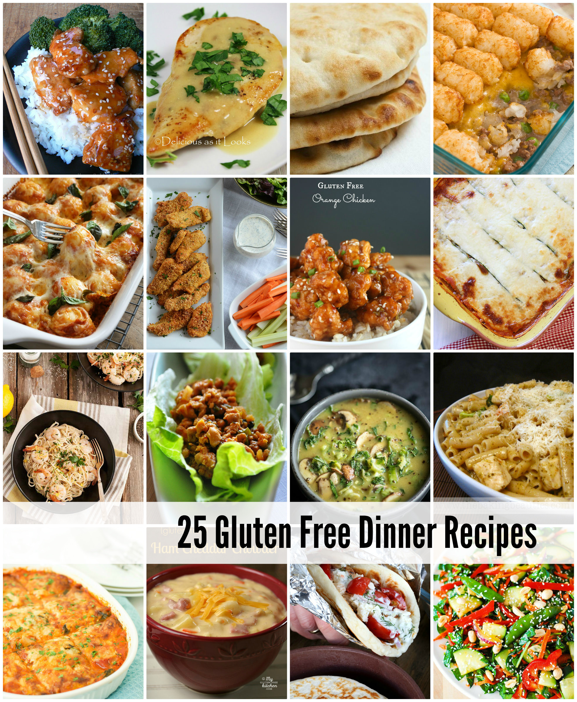 Gluten Free Dairy Free Dinner Recipes
 easy gluten free dinner recipes for family