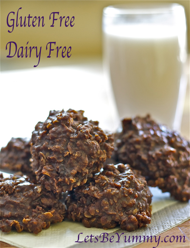 Gluten Free Dairy Free No Bake Cookies
 No Bake Cookies Gluten Free Dairy Free