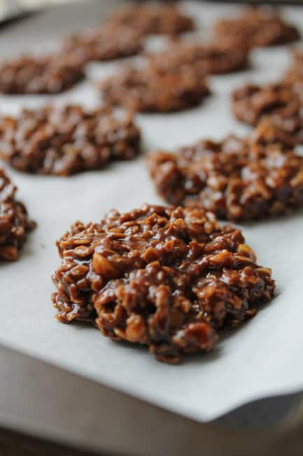 Gluten Free Dairy Free No Bake Cookies
 No Bake Chocolate Coconut Oil Cookies The Honour System