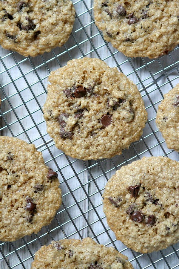 Gluten Free Dairy Free Oatmeal Cookies
 Gluten Free Dairy Free Oatmeal Chocolate Chip Cookies