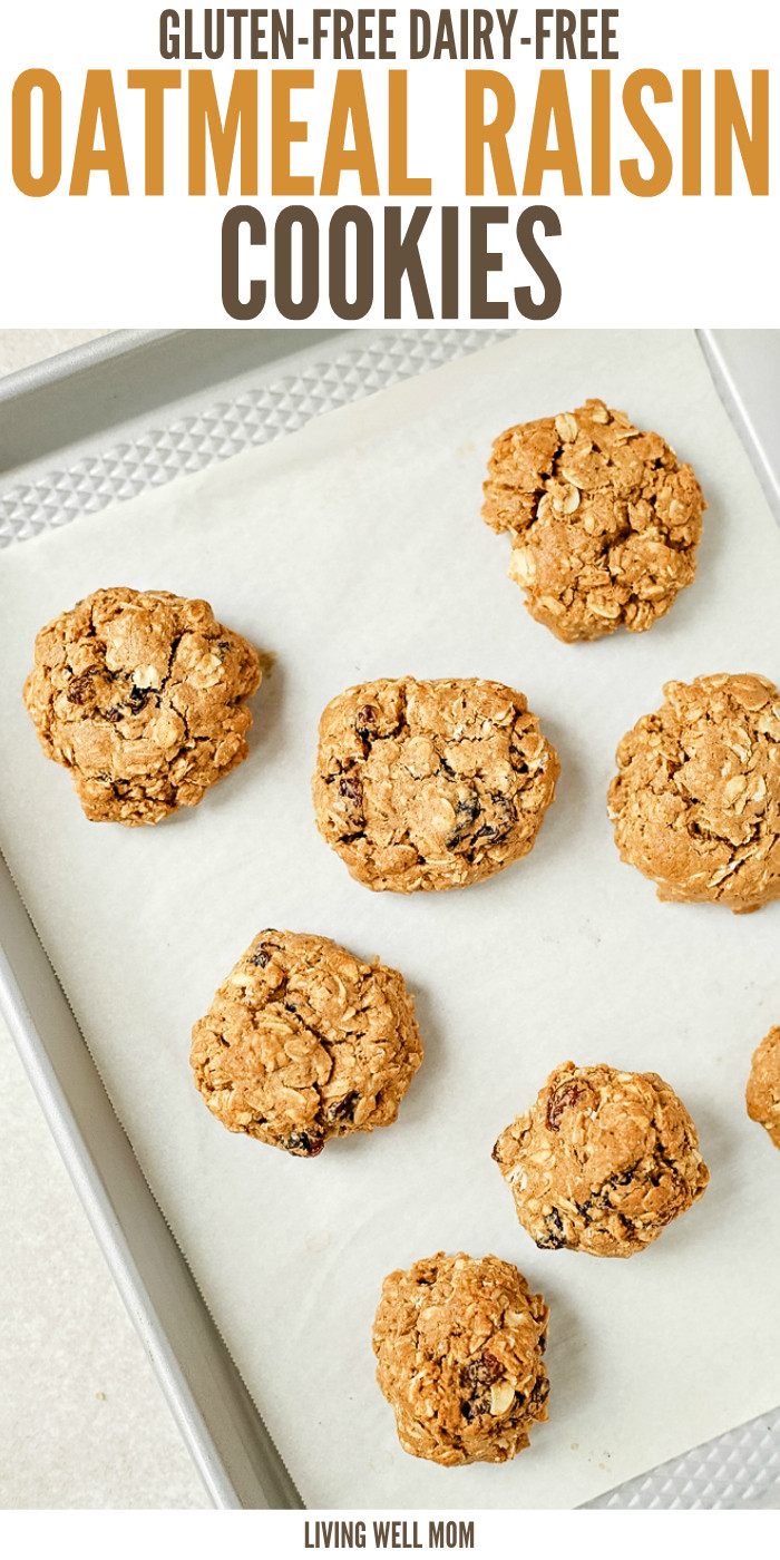 Gluten Free Dairy Free Oatmeal Cookies
 Gluten Free Dairy Free Oatmeal Raisin Cookies