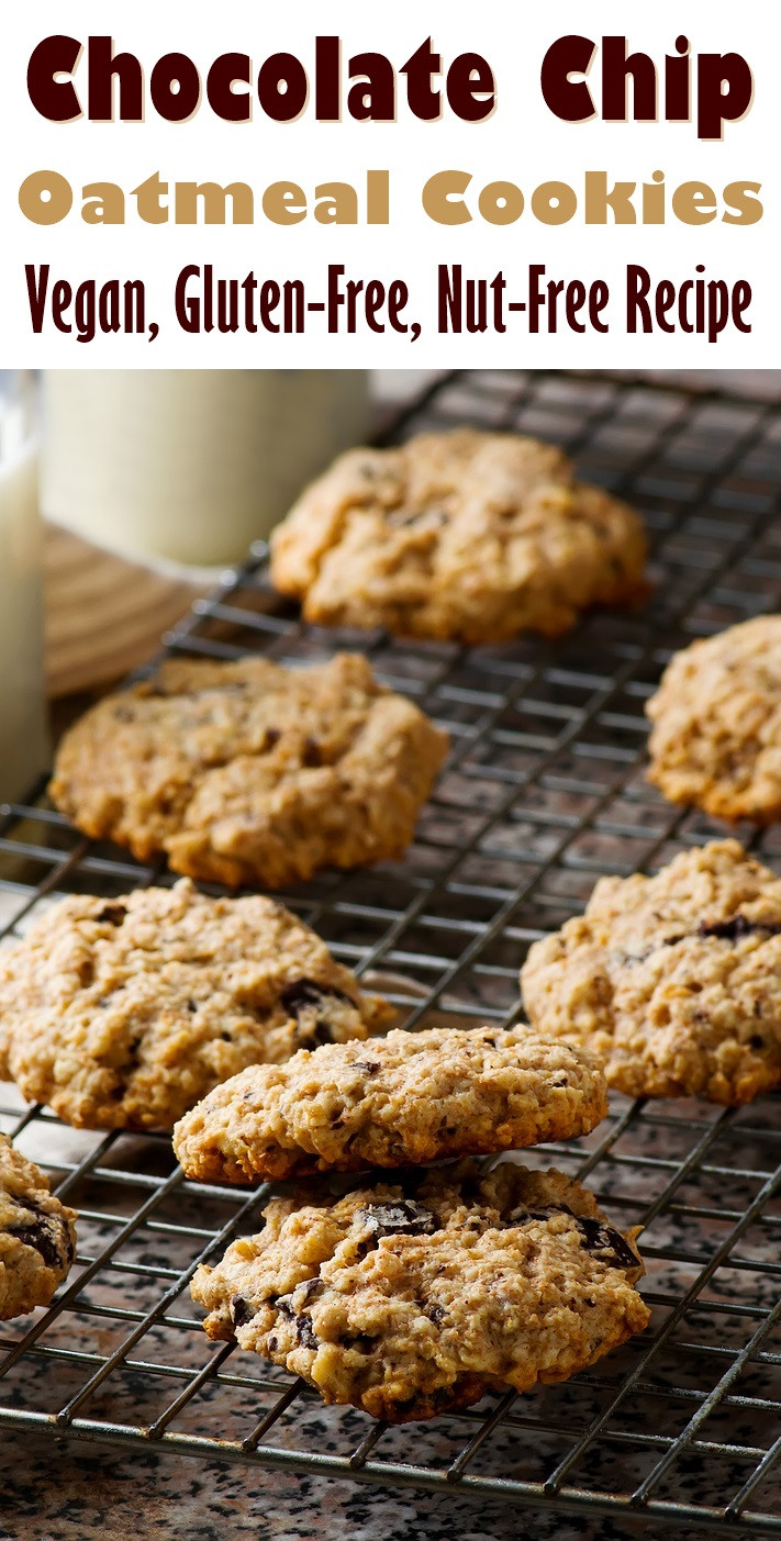 Gluten Free Dairy Free Oatmeal Cookies
 Oatmeal Chocolate Chip Cookies Recipe Vegan & Gluten Free