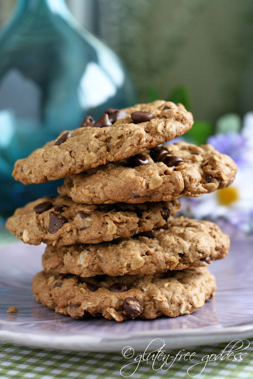 Gluten Free Dairy Free Oatmeal Cookies
 Over 60 Gluten Free Oatmeal Cookie Recipes