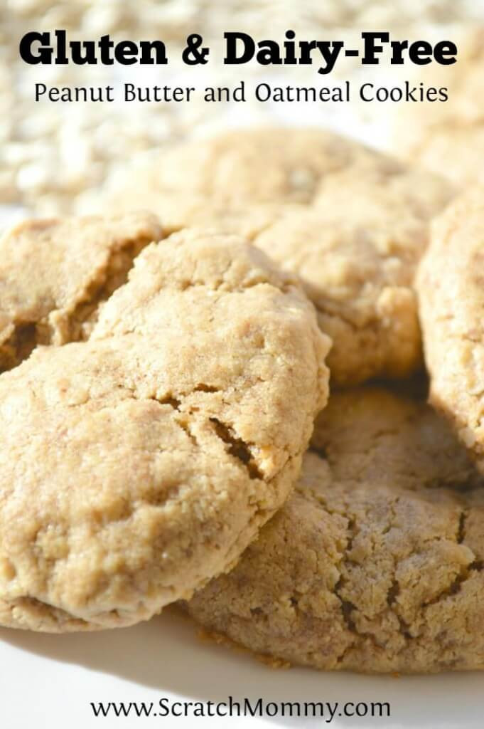 Gluten Free Dairy Free Peanut Butter Cookies
 Wheat Free Butter Cookies Recipe — Dishmaps