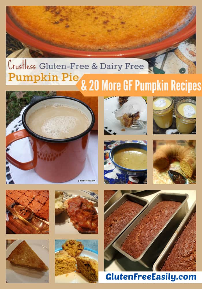 Gluten Free Dairy Free Pumpkin Recipes
 20 Gluten Free Pumpkin Recipes So Much To Love