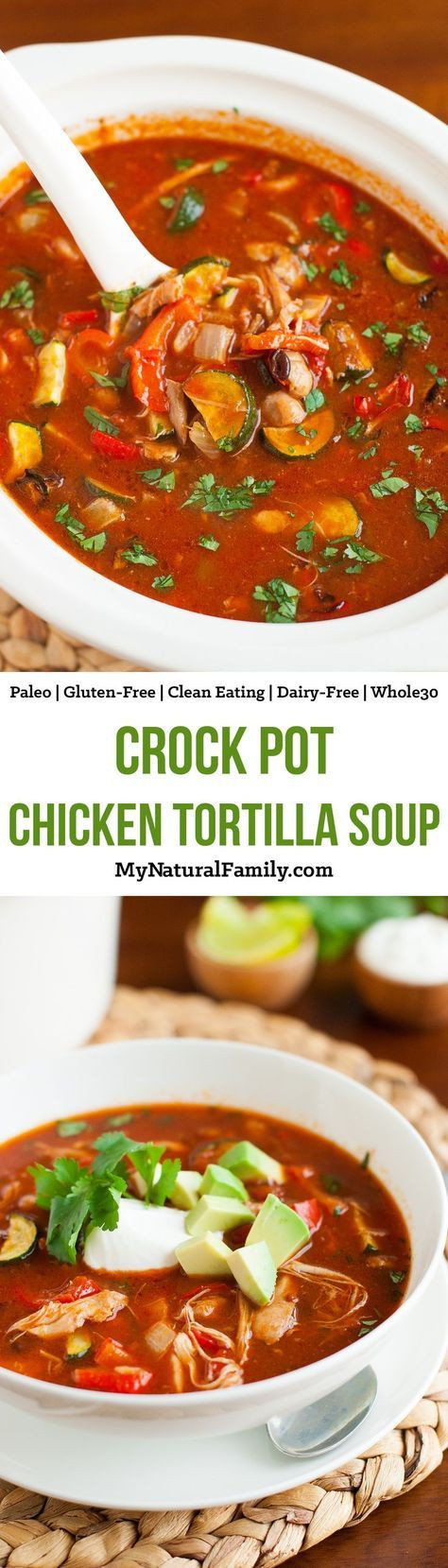 Gluten Free Dairy Free Soup Recipes
 Gluten Free Crock Pot Chicken Tortilla Soup