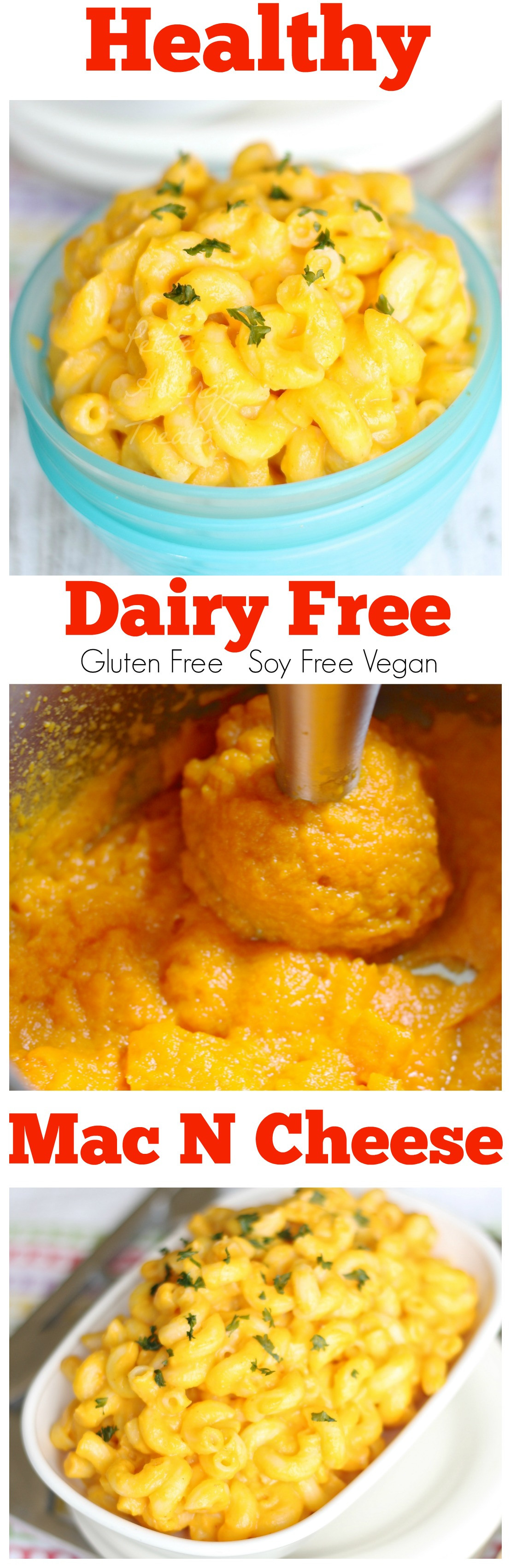 Gluten Free Dairy Free Soy Free Recipes
 Dairy Free Mac and Cheese Gluten Free Vegan Petite