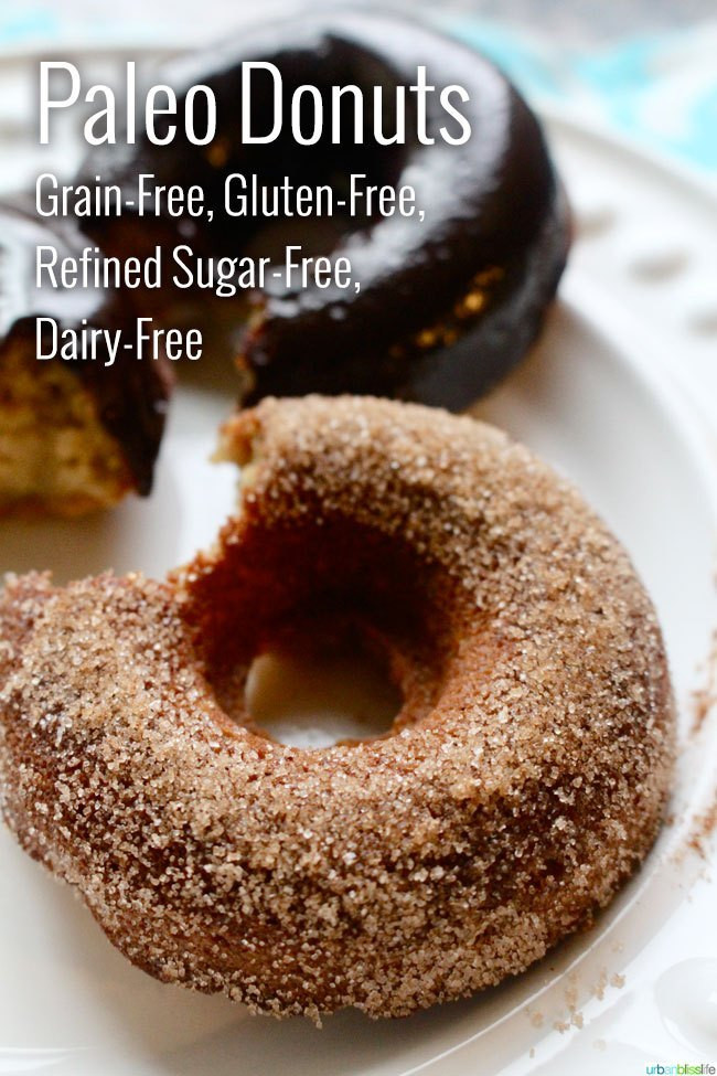 Gluten Free Dairy Free Sugar Free Recipes
 Awesome Paleo Donuts Recipe Grain Free Gluten Free
