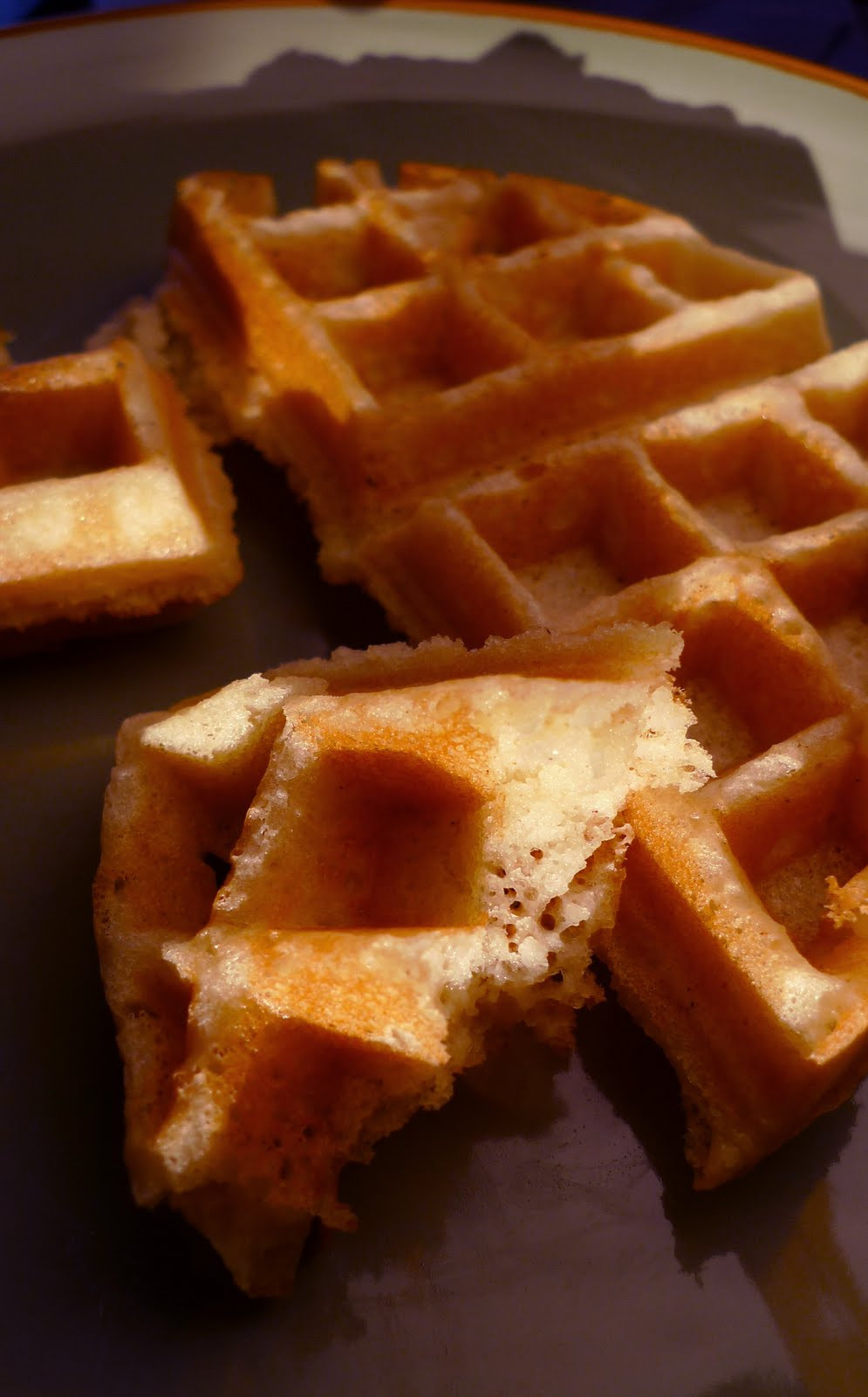 Gluten Free Dairy Free Waffles
 Gluten free Gourmand Easy Waffles a Gluten Free Dairy