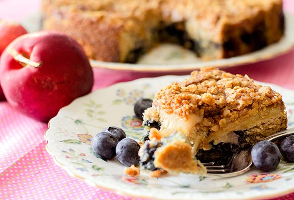 Gluten Free Diabetic Desserts
 Nectarine and Blueberry Coffee Cake Gluten Free Diabetic