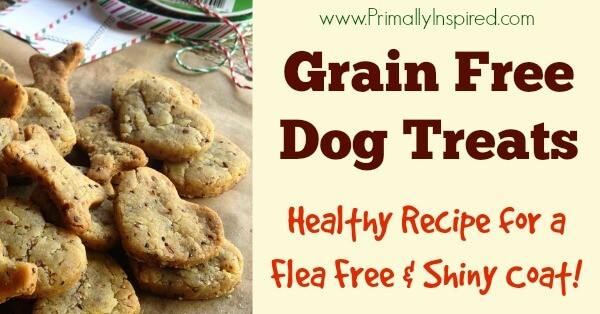 Gluten Free Dog Biscuit Recipe
 grain free dog treat recipes
