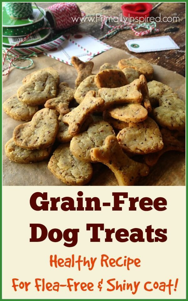 Gluten Free Dog Biscuit Recipe
 Homemade Grain Free Dog Treats Recipe
