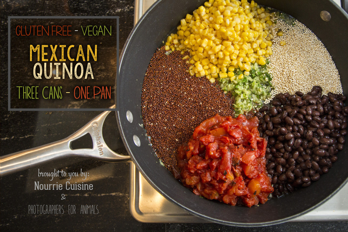 Gluten Free Mexican Recipes
 Gluten Free Vegan Mexican Quinoa – Nourrie Cuisine