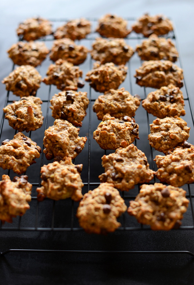 Gluten Free Oatmeal Cookies Recipe
 gluten free oatmeal cookies recipe with agave