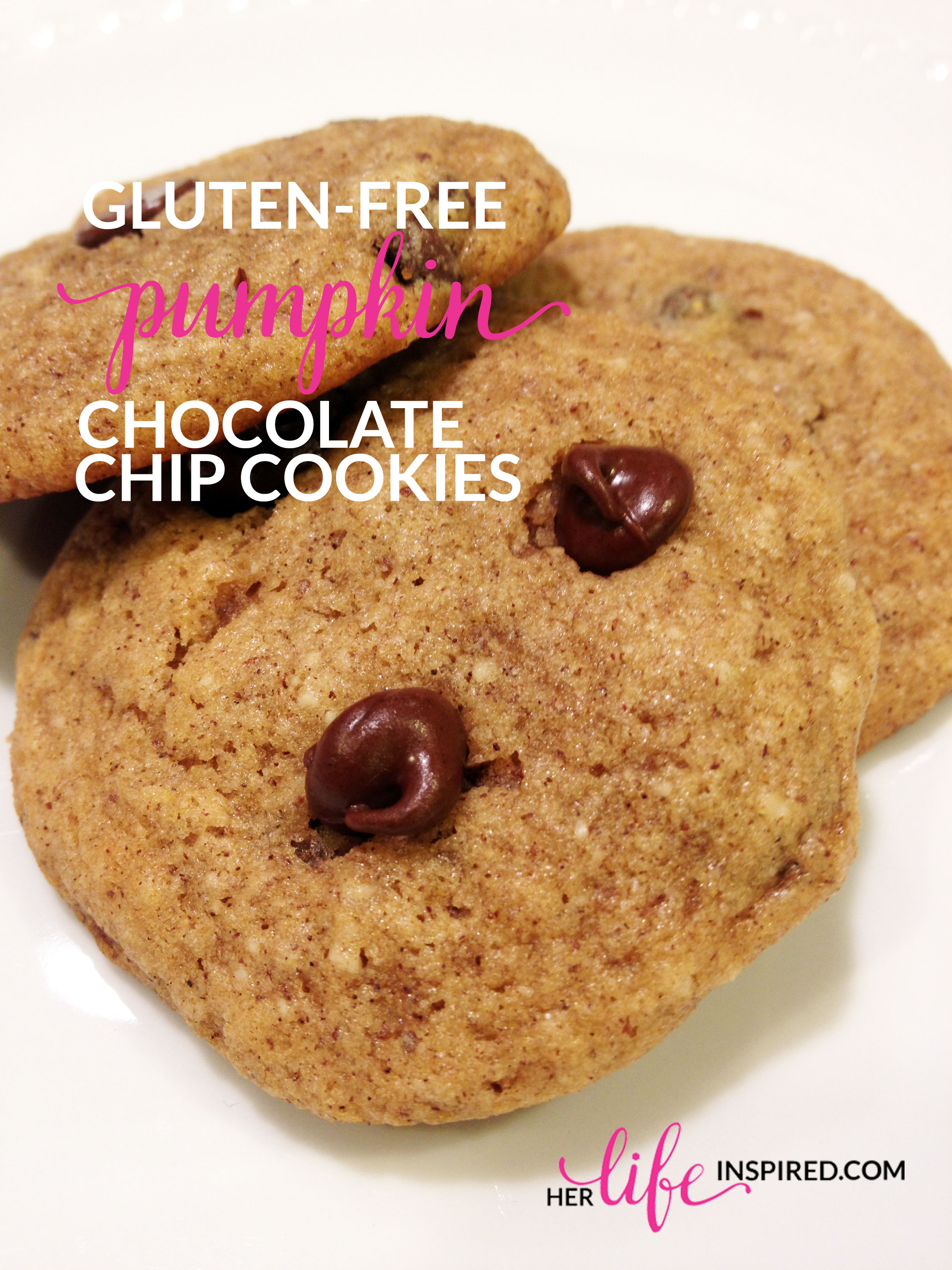 Gluten Free Pumpkin Chocolate Chip Cookies
 Gluten Free Pumpkin Chocolate Chip Cookie Recipe – Her