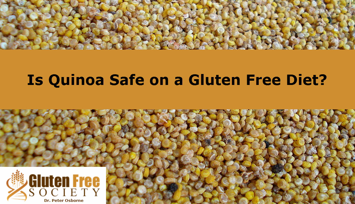 Gluten Free Quinoa
 Is Quinoa a Safe Gluten Free Food Alternative