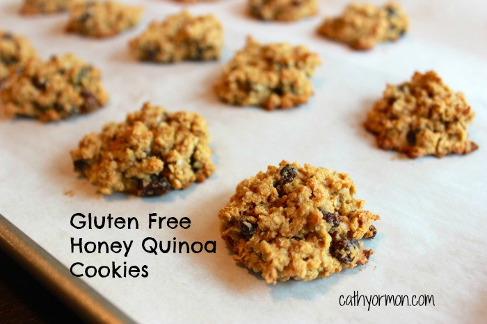 Gluten Free Quinoa Cookies
 Gluten Free Honey Quinoa Cookies Your ultimate health coach